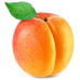 Capella "Apricot"