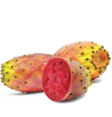 Cactus Soda (One on One)