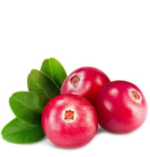 Cranberry (One on One)