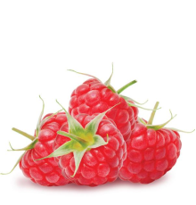Raspberry Fresh (One on One)