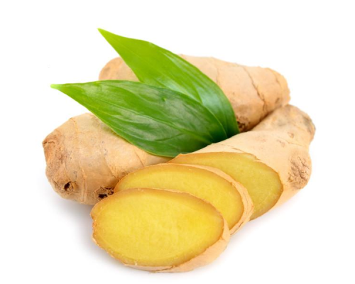 Purilum "Ginger"