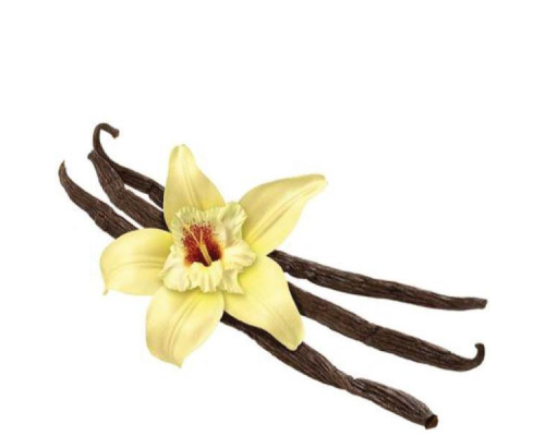 TPA "French Vanilla Deluxe"