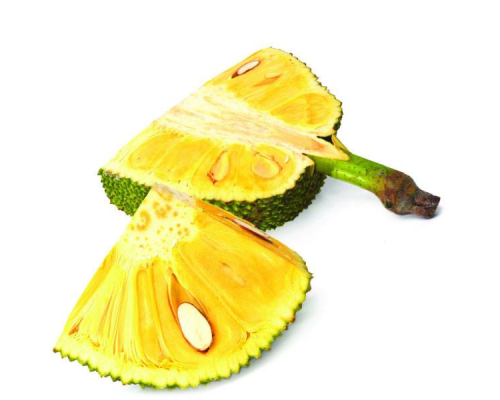 TPA "Jackfruit"