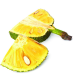 TPA "Jackfruit"