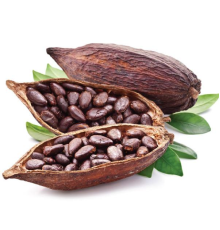Cocoa (Wonder)