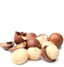 Macadamia Nut (Wonder)
