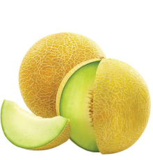Ripe Galia Melon (Wonder)