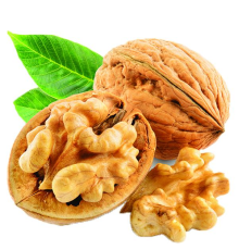 Walnut (Wonder)