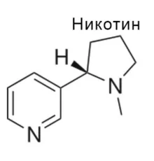 Hubei Heno (сотка)