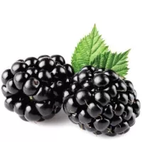 Blackberry TPA