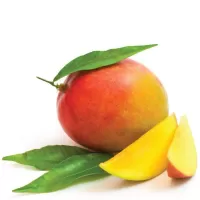 Mango TPA